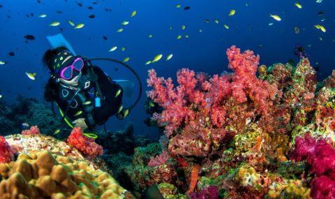 Египет създава нова туристическа атракция на дъното на морето - 1