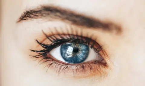 Научно откритие: „Дефектният“ ген на синеоките - потомци на общ прародител - 1