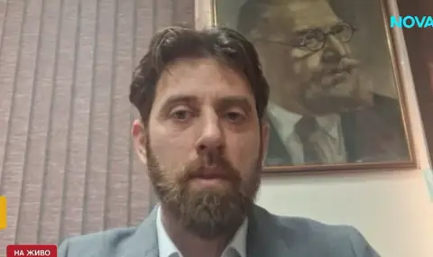 Шефът на БАБХ за пестицидите в слънчогледа: Целта на вноса е да бъде преработен за биодизел - 1