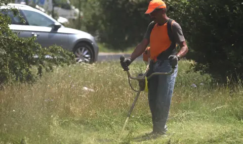 АПИ: Цените за косене на крайпътна растителност са между 68 и 80 лв. на декар, а не 10 000 лв. за кв./м - 1