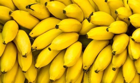 НАП продава 40 тона конфискувани банани - 1