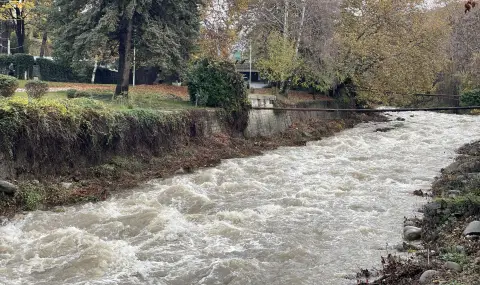 Реки в Благоевградско излязоха от коритата си, заляти са земеделски площи - 1