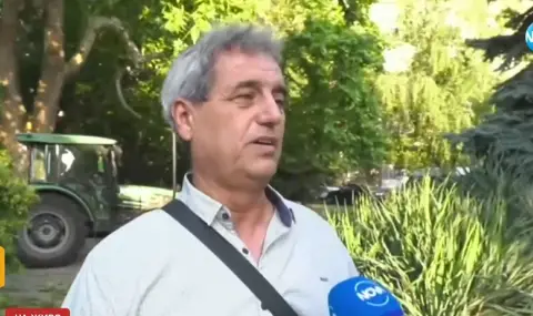 Паднали дървета и отнесени улични стълбове след силна буря в Лом  - 1