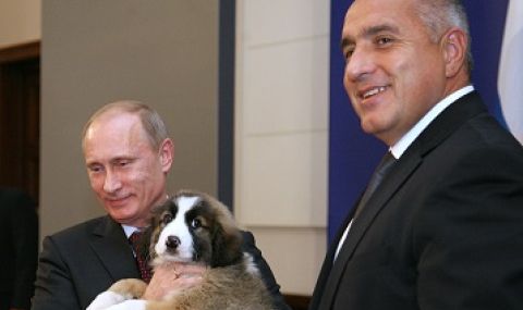 Имаме кученца за кремълския диктатор, но не и отговор къде е пътната карта с Газпром. Ясно ли е защо не сме в Шенген? - 1