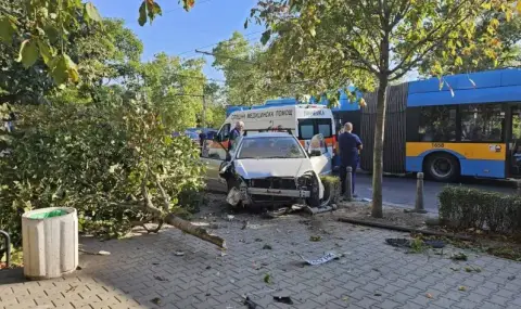 Две коли се удариха при Орлов мост, пострада жена - 1