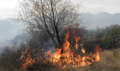 Шест огнища на пожари в страната - 1