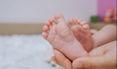 Пандемията е понижила раждаемостта в Южна Европа - 1
