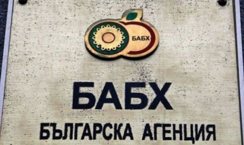 Новият шеф на БАБХ: "Евролаб" по никакъв начин няма да работи на "Капитан Андреево" - 1