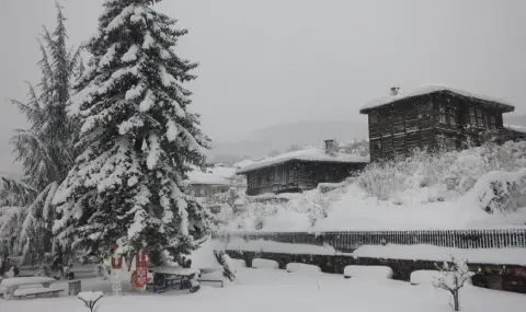 Кюстендил: 30 см сняг в планинските райони на областта - 1