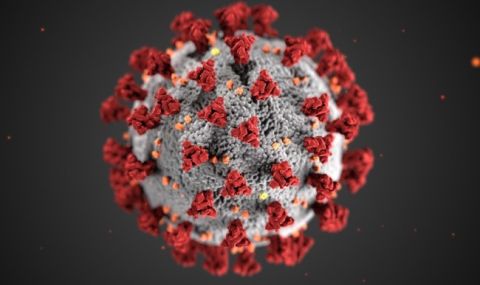143-ма нови заразени с коронавирус, почина един болен - 1