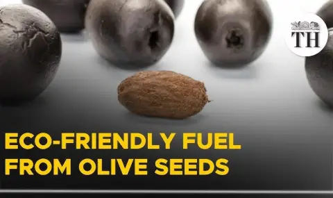 Spain makes fuel from olive pits  - 1