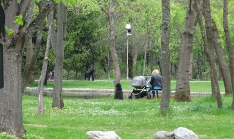 София подготвя алтернативно обезщетение за частни терени в зелени площи - 1