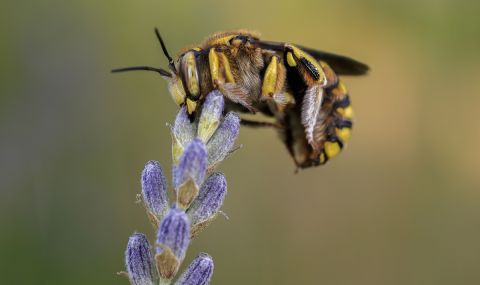 ПСС: Много добри са условията за туризъм в планините - 1