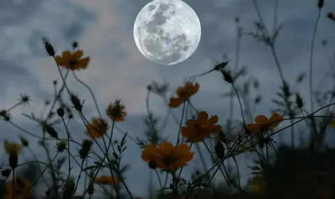 Пълнолунието нa 1 май носи късмет на тези 3 зодии - 1