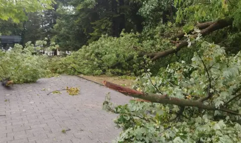 Дъжд, град и ураган удариха Раковски  - 1