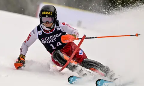 Алберт Попов с добро представяне в Гургл - 1