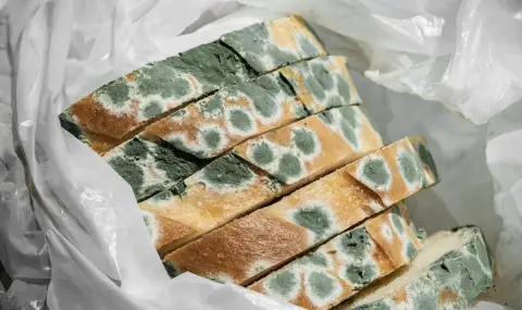 Не съхранявайте хляба в найлонова торба - мухлясва по-бързо - 1