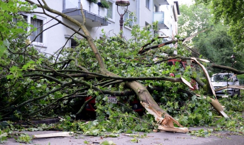 Свирепа буря взе най-малко 6 жертви в Германия - 1