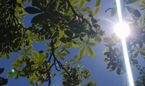 Слънчев вторник - 1