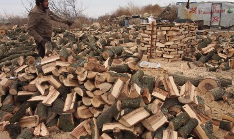 В момента дървата за огрев са с близо 30% по- евтини от зимата - 1