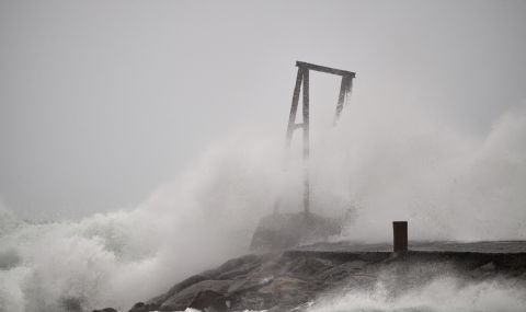 Тропическият циклон "Габриел" се насочва към остров Норфък в Австралия и Нова Зеландия  - 1