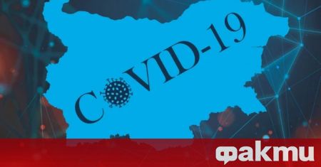 Срив в базата данни за COVID пандемията у нас Единният