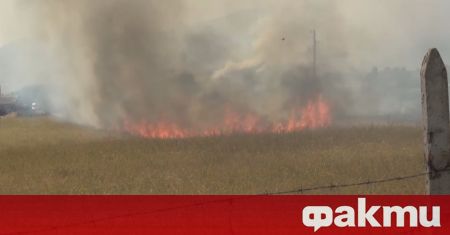 Голям пожар избухна в Централния Балкан Над карловското село Розино