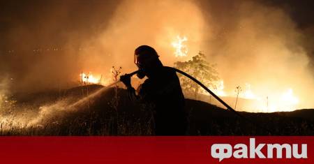 Мълния е предизвикала пожар в Национален парк Пирин в местност