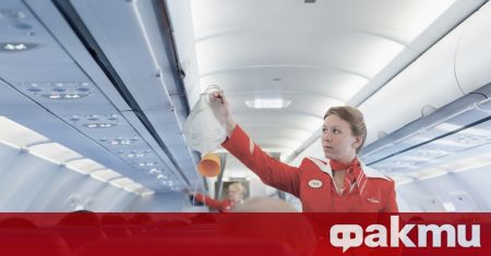 Американска стюардеса изроди бебе в тоалетната на самолет по време