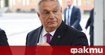 Унгария ще отхвърли възможността за включване на Закарпатска област регион