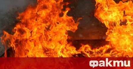 В истински огнен кошмар попаднаха двама от служителите на сръбския