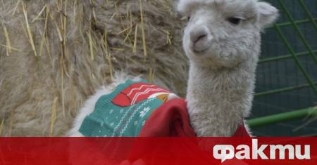 Зоологическата градина в София няма да посреща посетители от 1