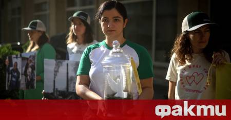 Тази сутрин с акция пред Министерството на енергетиката активисти на