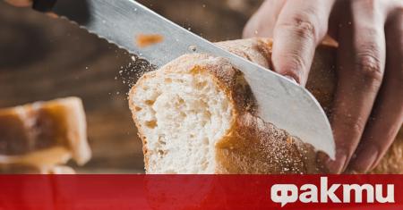 Румъния обяви забрана за износ на зърнени храни като част