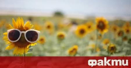 От запад облачността ще намалее Ще остане ветровито особено в