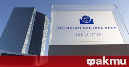 Не трябва да се въвежда еврото – сегашната ни система