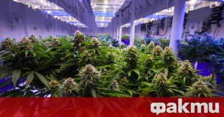 Правителството на Република Северна Македония ще вземе решение за започване