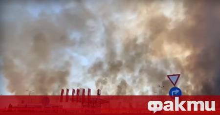 Пожар е избухнал край 296 ия километър на автомагистрала Тракия в