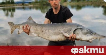 Млад рибар от Перник е извадил цяло чудовище от водите