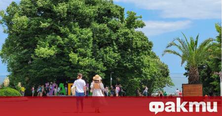 Днес ще преобладава слънчево време предаде БНР Около и след