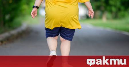 Учени са идентифицирали ключов биологичен механизъм чрез който затлъстяването отключва