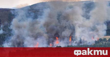 Пожар гори в района между созополските села Габър и Зидарово