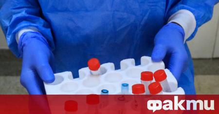 Разпространението на коронавирус в София е дифузно а не клъстерно