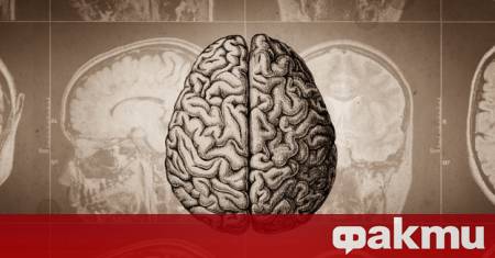 Учени от университета Фуджита в Токио са идентифицирали биологичен маркер