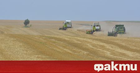 Руските сили са откраднали неколкостотин хиляди тона зърно в районите