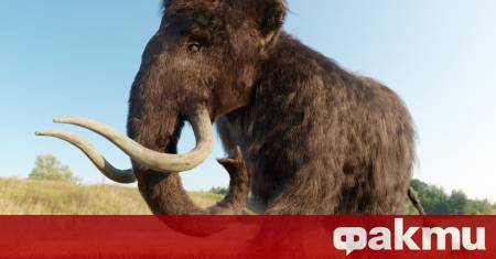 Резултатите от изследване на зъбите на вълнести мамути потвърдиха теорията