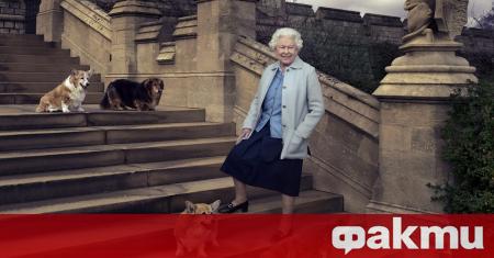 Бившият готвач на британската кралица Елизабет Втора 58 годишният Дарън Макгрейди