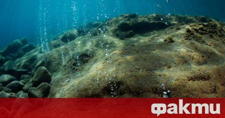 Учени съобщиха за откриването на 73 досега неизвестни вероятни подводни