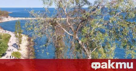 Преди обед ще има разкъсана висока облачност по значителна над централните