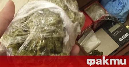 Four detained in Sofia for drugs ᐉ News from Fakti.bg – Crimea